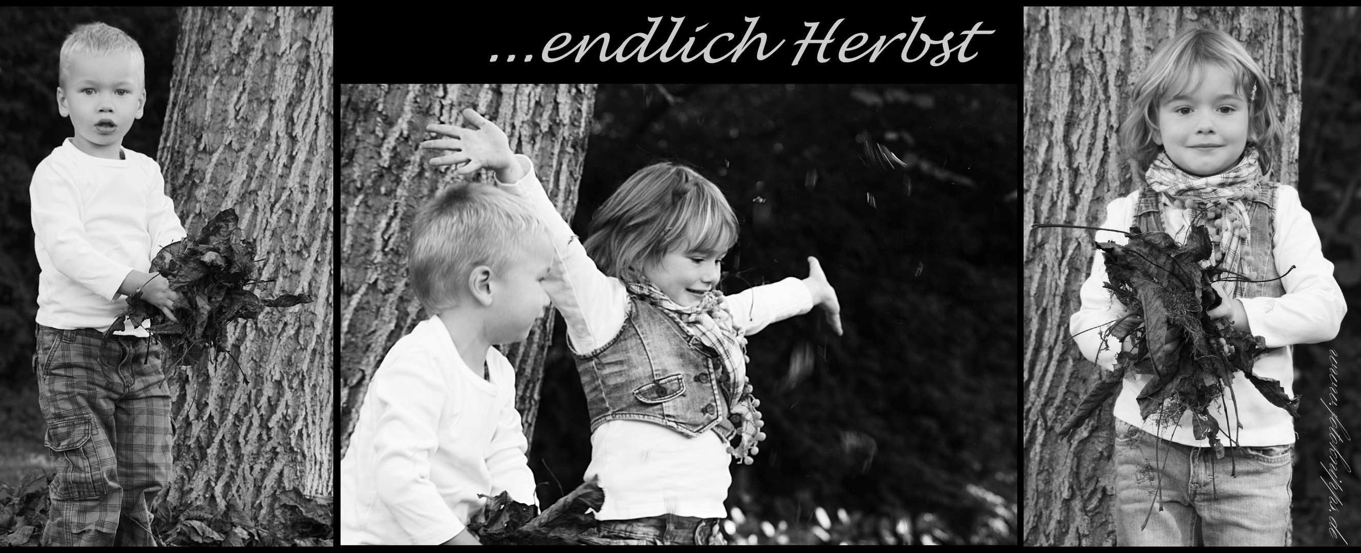 endlich Herbst.....