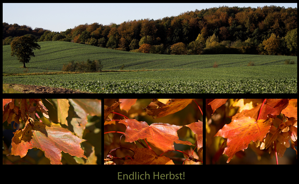 Endlich Herbst