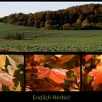 Endlich Herbst