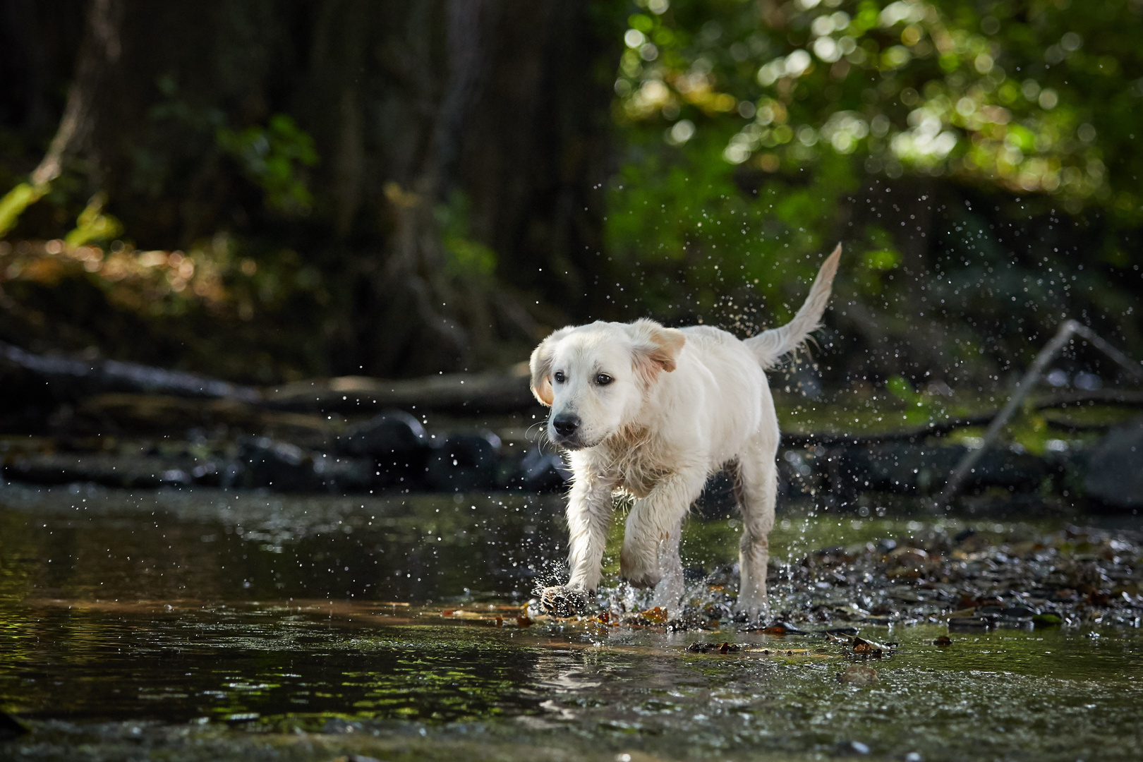 Endlich im Wasser