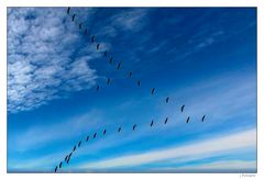 - endlich in der Luft und unterwegs -