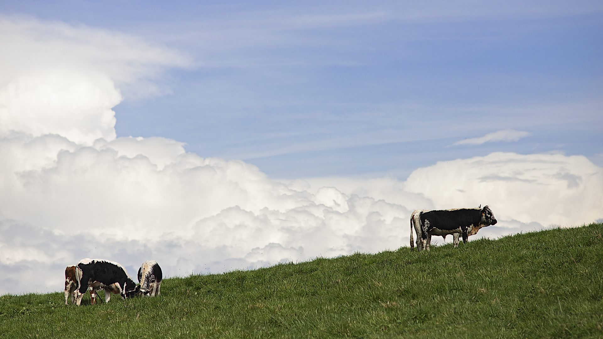 endlich in der Sommerfrische