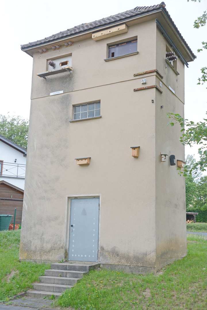 Endlich ist der Brutturm für Vögel fertig.