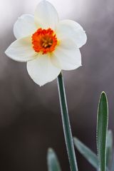 Endlich ist der Frühling da!