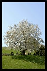 Endlich ist der Frühling da...