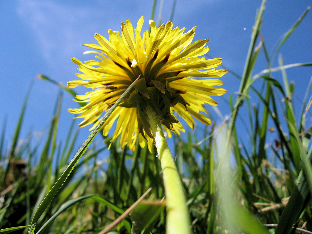 endlich ist der Sommer da