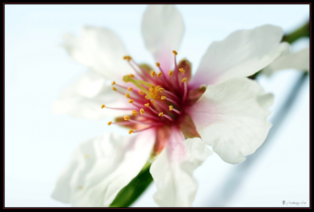 Endlich ist er da… der Frühling!