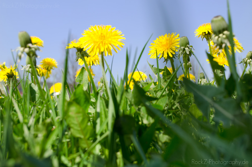 Endlich ist es warm!