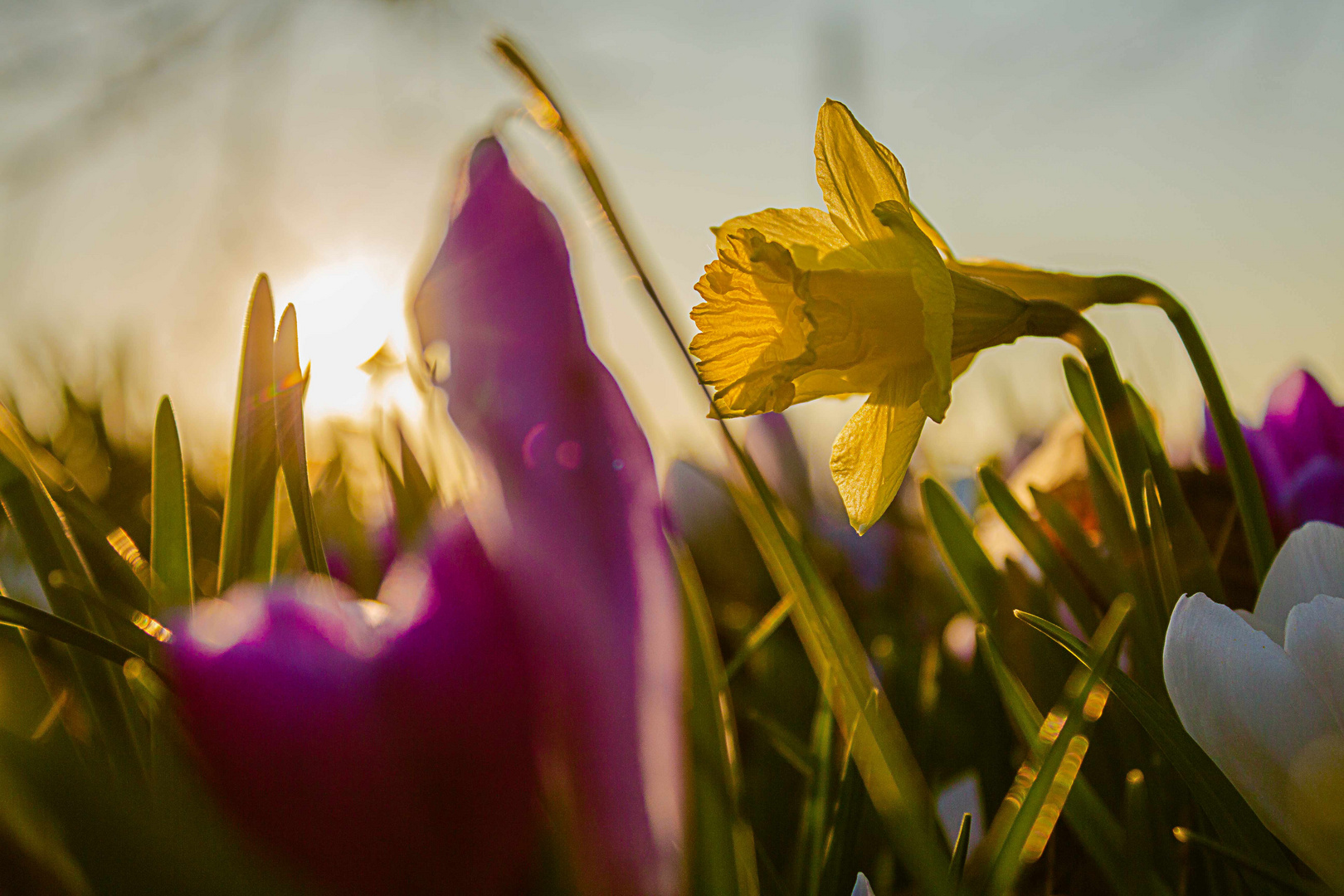 Endlich ist Frühling