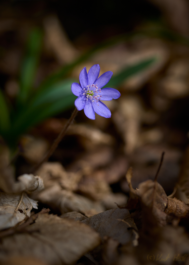 Endlich kehrt die Farbe zurück :)..