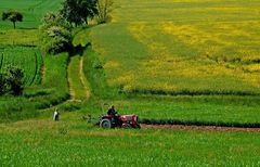 Endlich können hier die Landwirte auf den Feldern wieder etwas arbeiten, ...