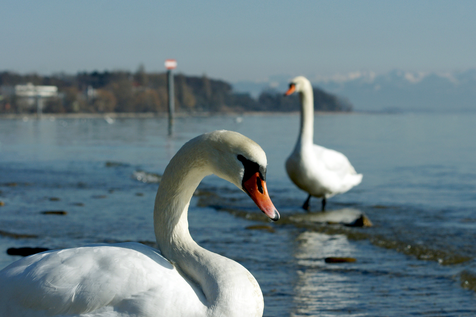 Endlich kommt der Frühling