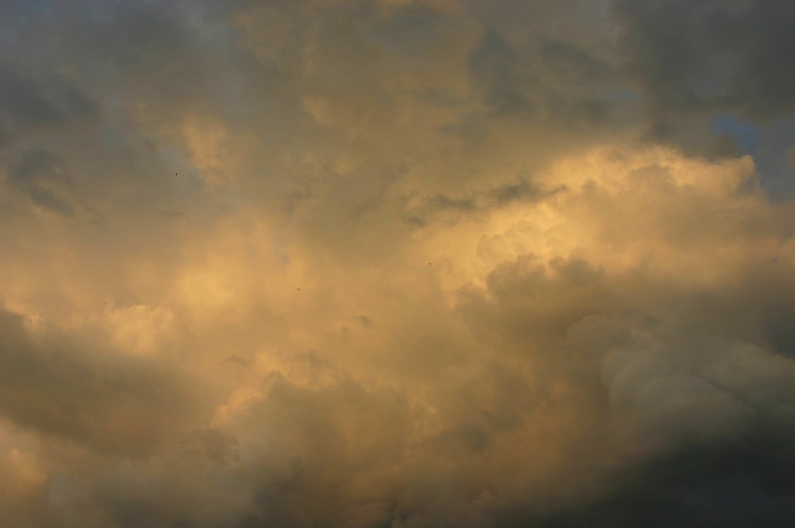 endlich kommt der langersehnte Regen für die Natur