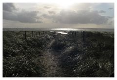 Endlich Langeoog!