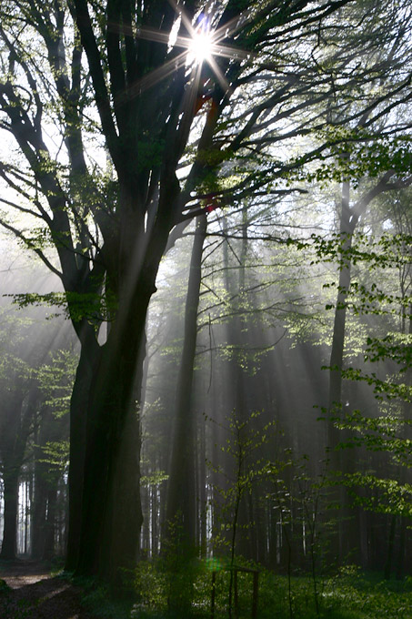 Endlich Licht