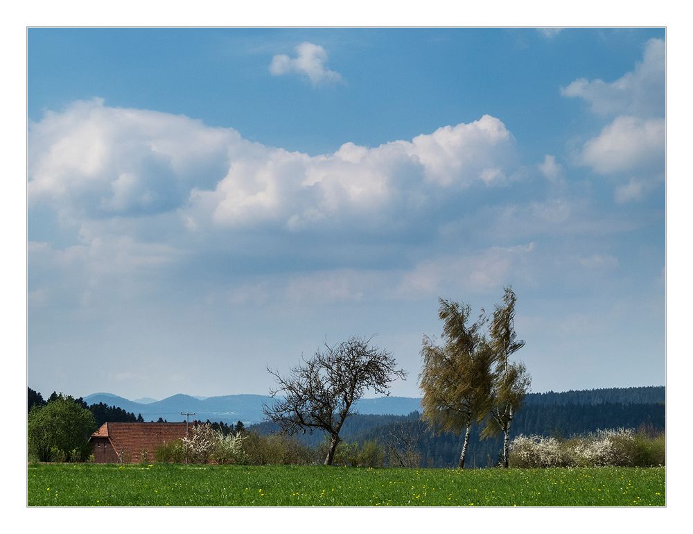 Endlich mal blauer Himmel