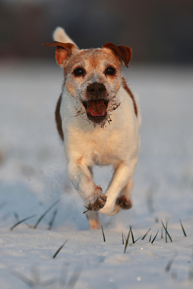 Endlich mal ein bissl Schnee