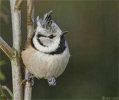 Endlich mal ein paar Stunden ohne Regen....