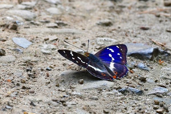 endlich mal erwischt!