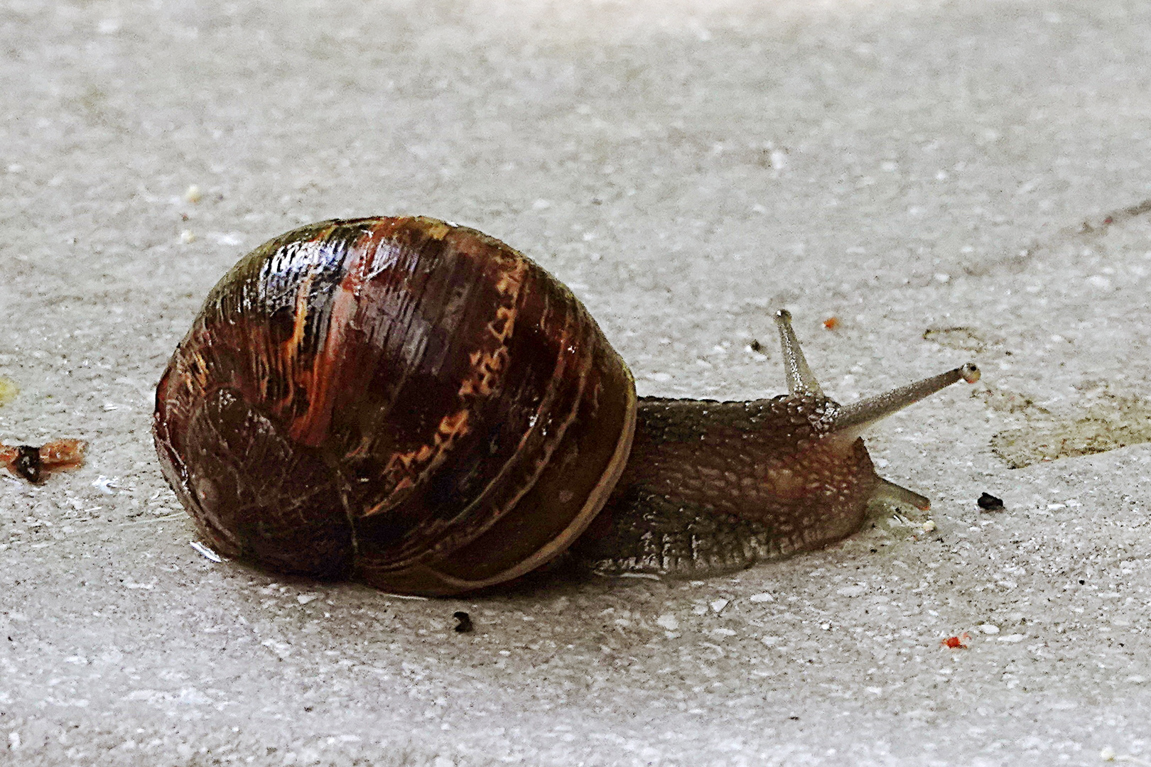 endlich mal jemand, die einem Zeit lässt sie zu fotografieren