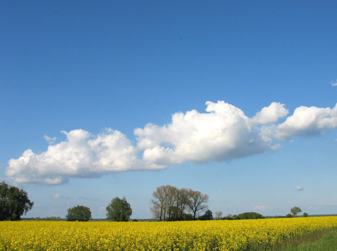 endlich mal schönes Wetter