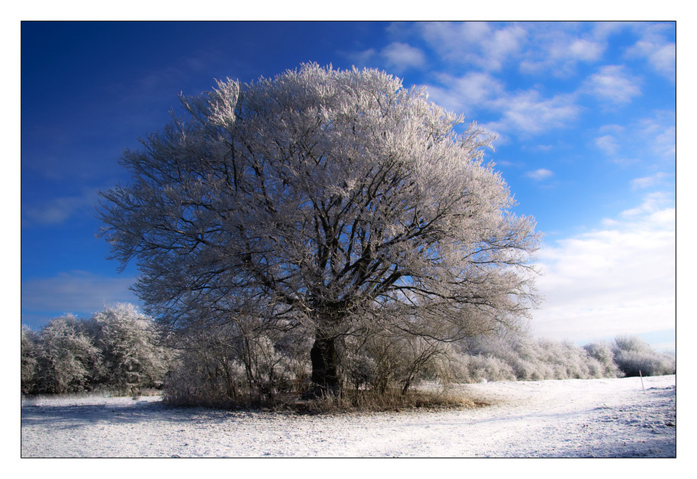 Endlich mal so etwas wie Winter......