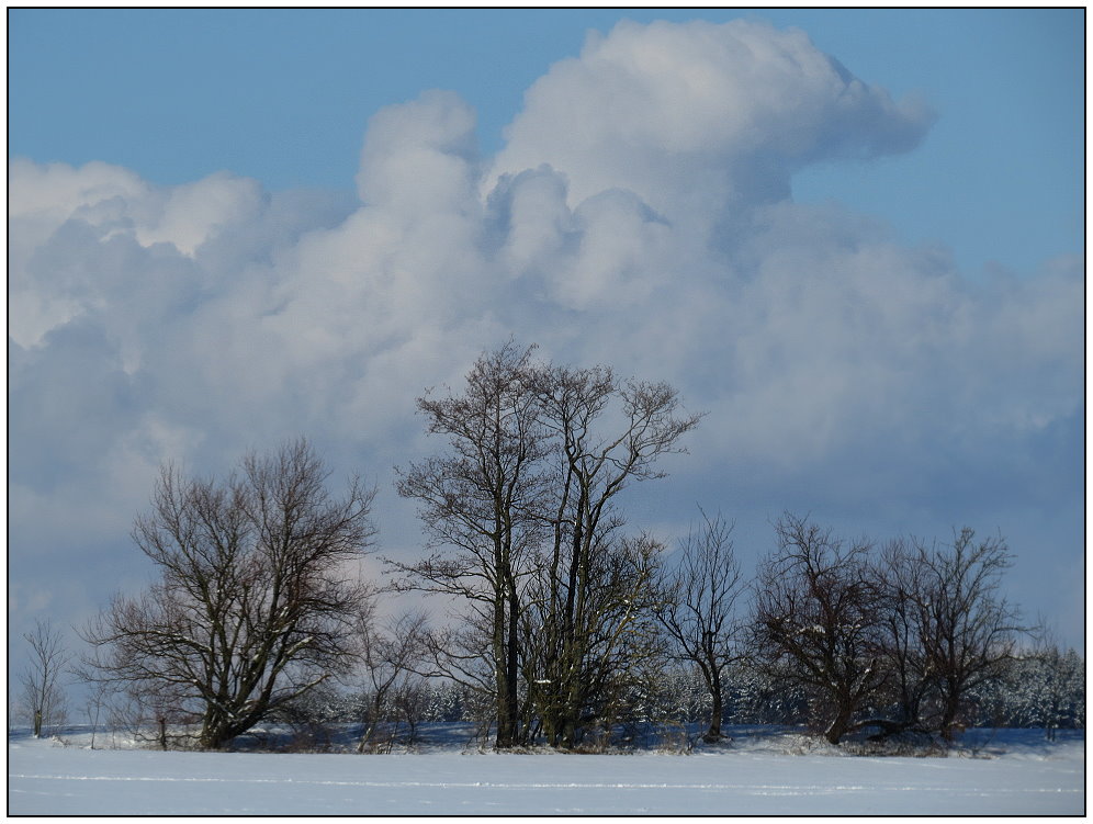 Endlich mal Sonne...