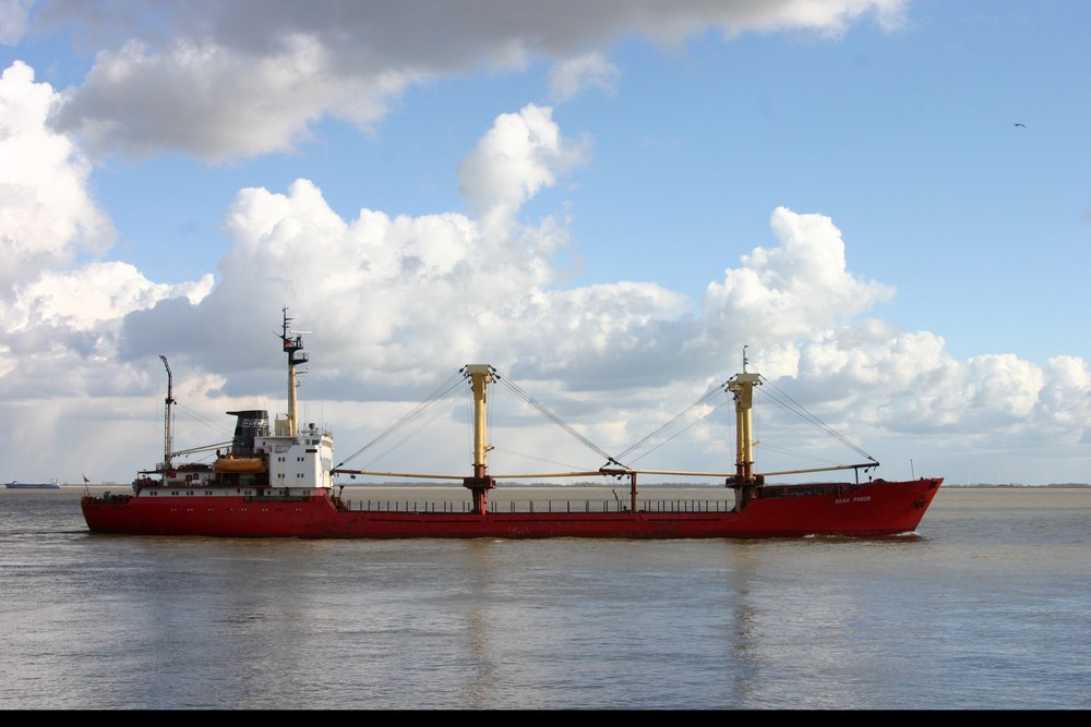 Endlich mal wieder Bäume auf der Elbe