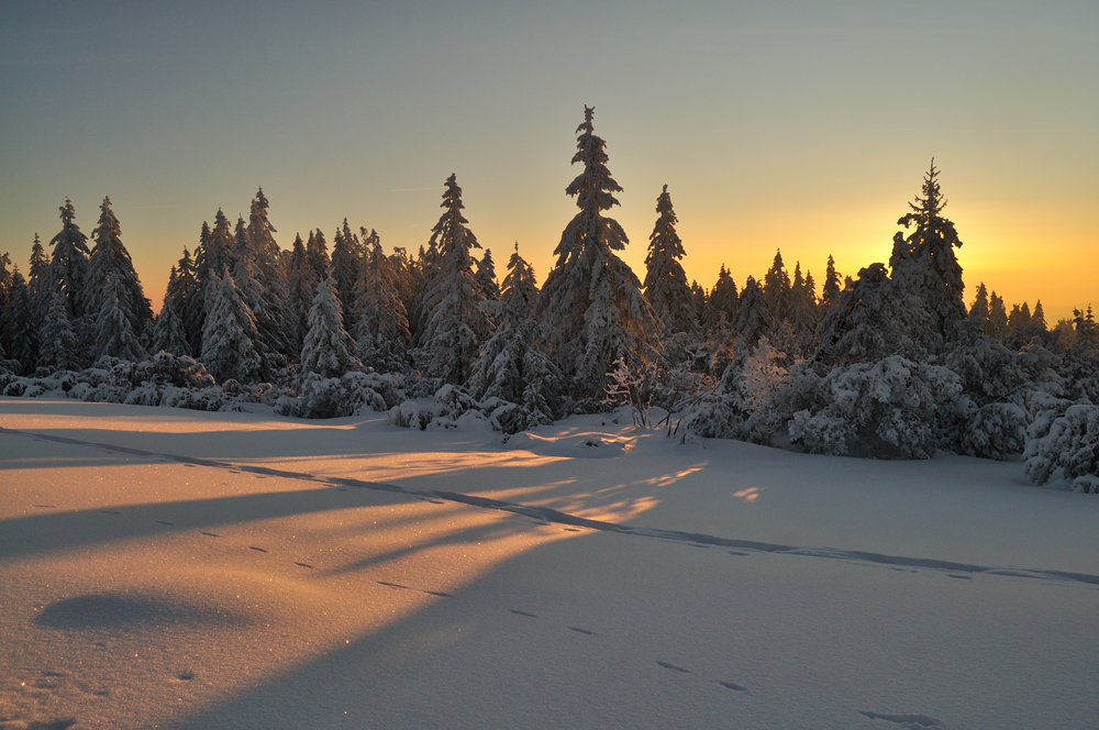 Endlich mal wieder Morgensonne ...