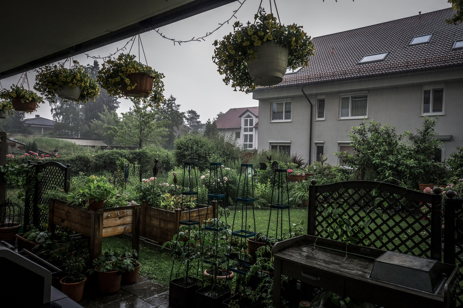 Endlich mal wieder Regen,die Natur braucht das dringend