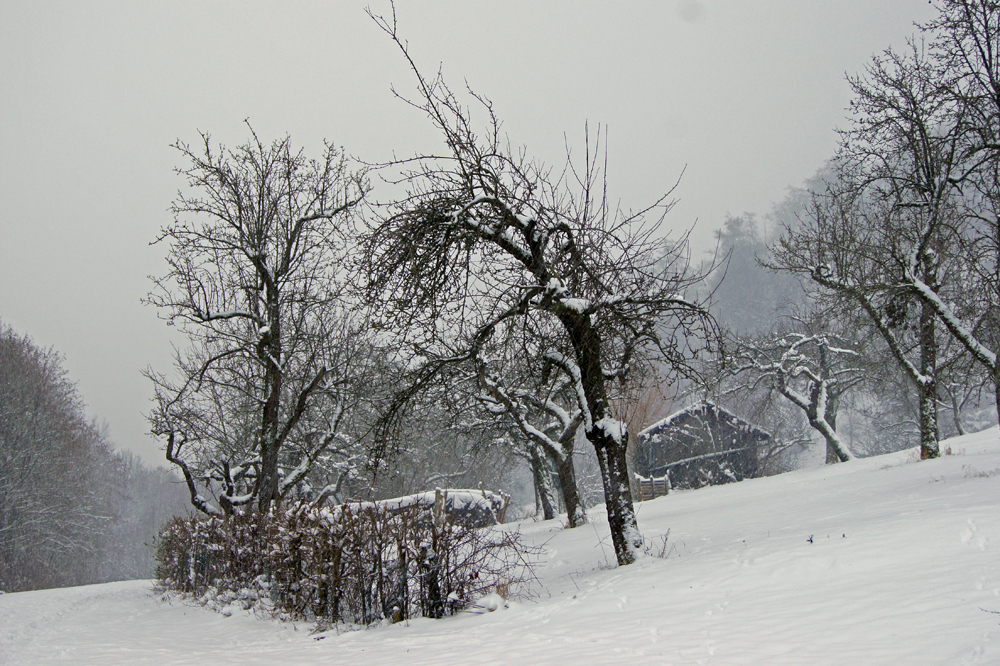 Endlich mal wieder richtig Schnee