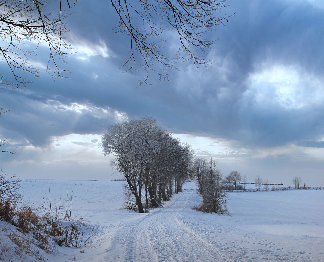 Endlich mal wieder Schnee