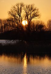 Endlich mal wieder Sonne