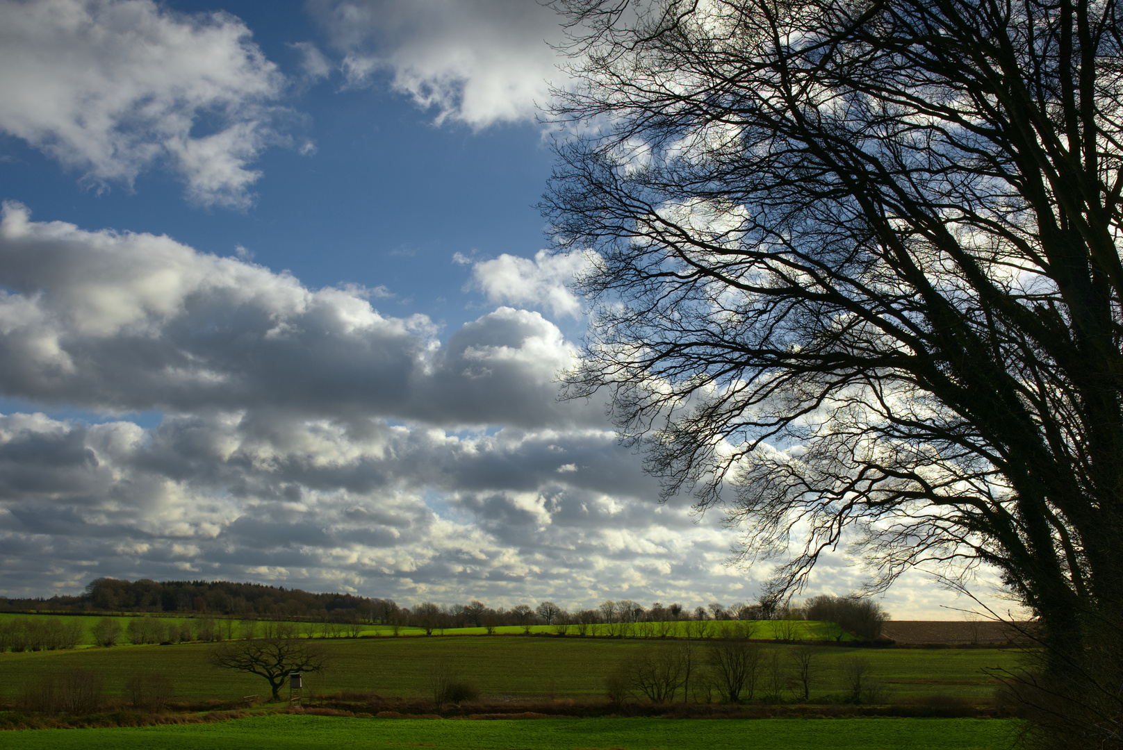 endlich mal wieder Sonne