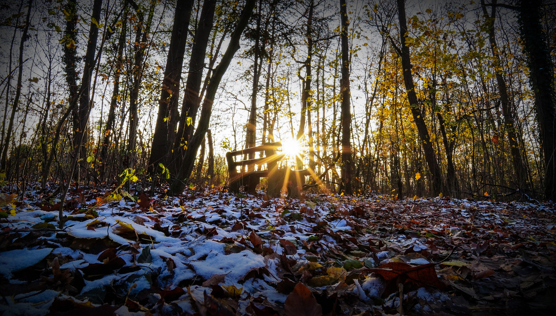 Endlich mal wieder Sonne