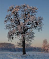 Endlich mal wieder Winter!