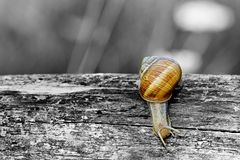 Endlich mal Zeit zum Fotografieren