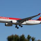 Endlich ne Avianca!