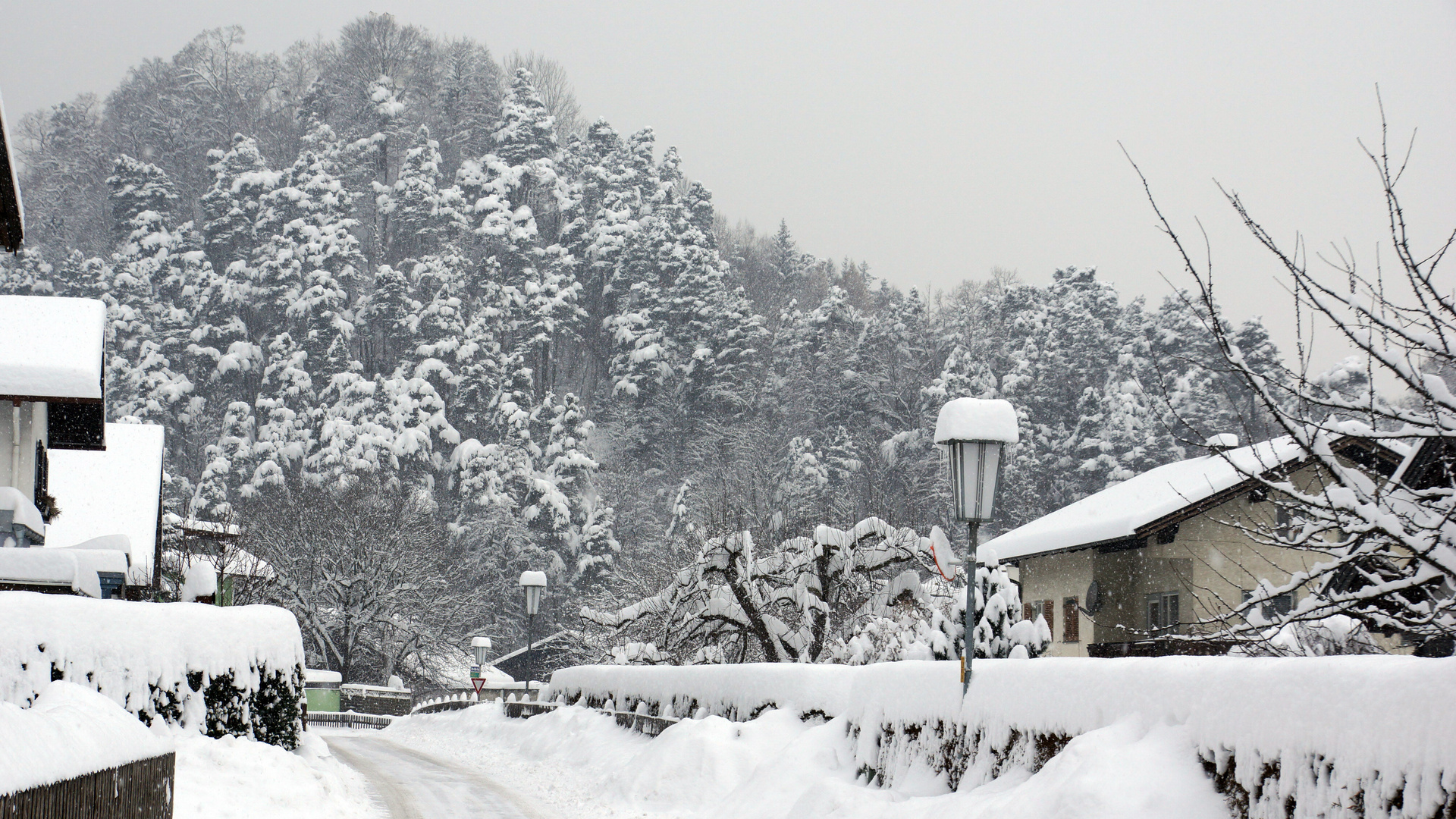 endlich Neuschnee