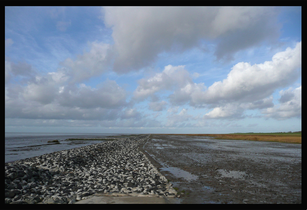 Endlich Nordsee!