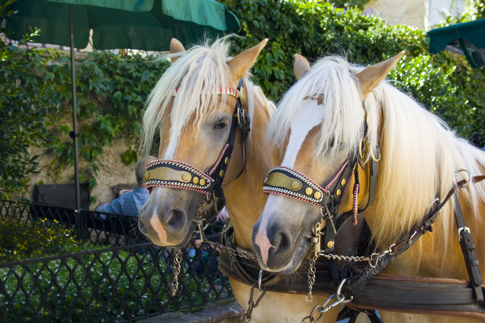 Endlich Pause Foto & Bild | europe, Österreich, salzkammergut Bilder