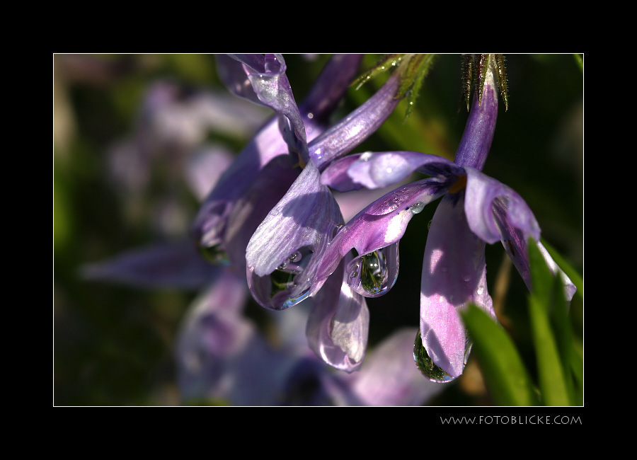 Endlich Regen!