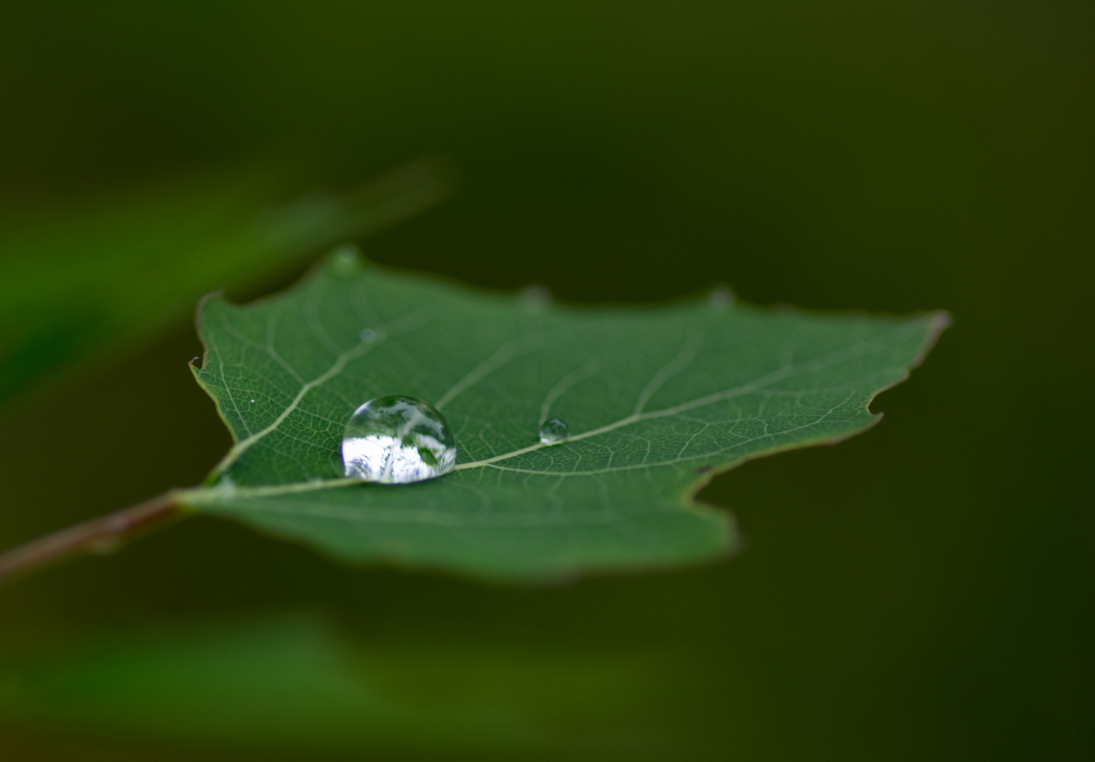 Endlich Regen