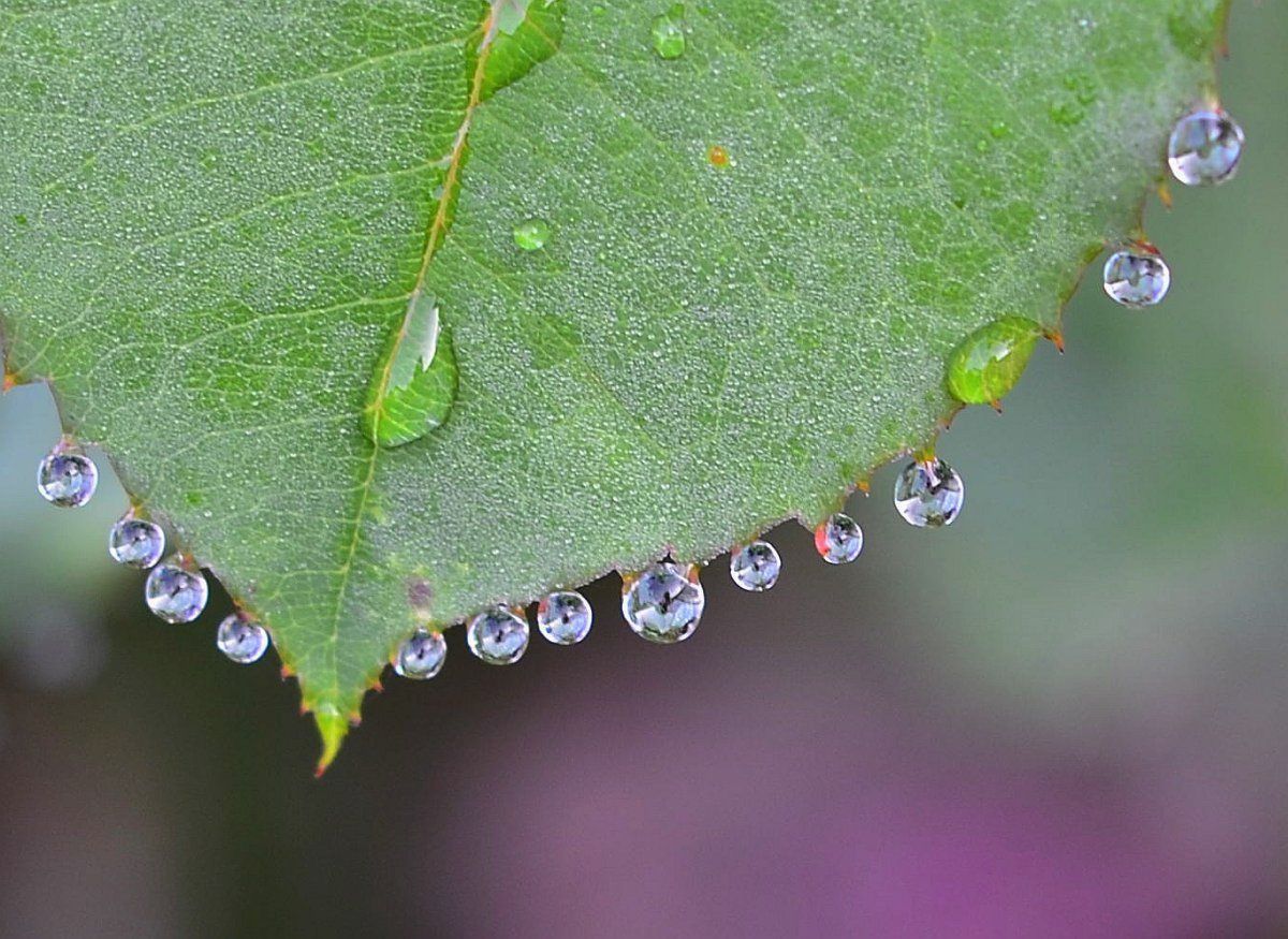 endlich Regen