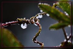 Endlich Regen und Herbstwetter 01