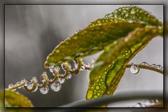 Endlich Regen und Herbstwetter 02