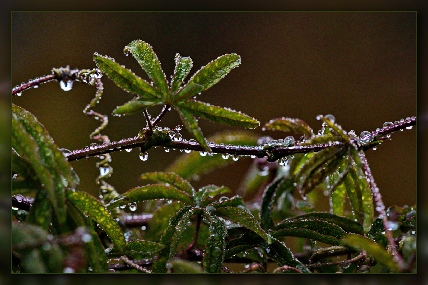 Endlich Regen und Herbstwetter 05