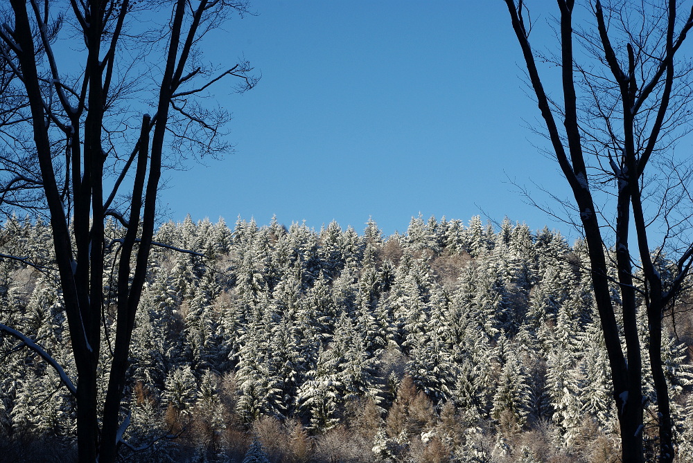 Endlich richtig Winter