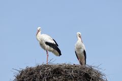 Endlich Ruhe im Nest, die Kinder sind ausgezogen !