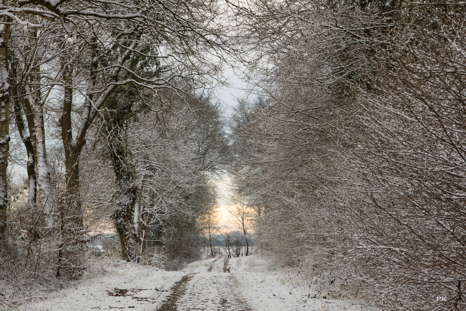 endlich Schnee